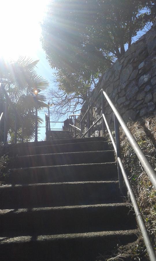 Il Nido Sul Lago Stresa Buitenkant foto