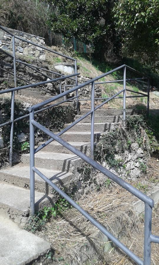 Il Nido Sul Lago Stresa Buitenkant foto